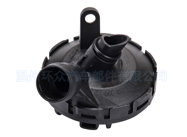 06E 103 245 E Audi Exhaust Valve